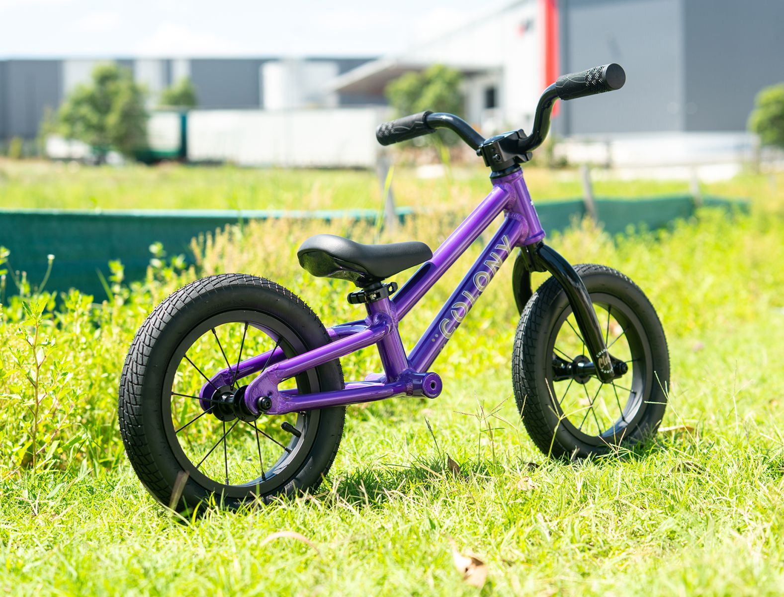 COLONY HORIZON BALANCE BIKE PURPLE
