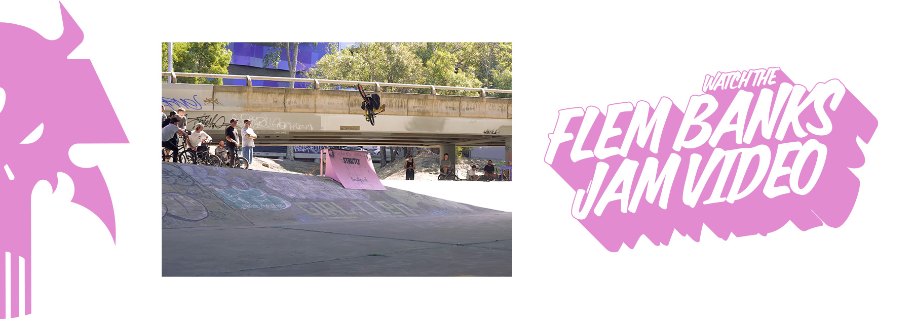 FLEM-BANKS