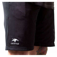 Animal Champion Shorts