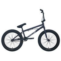 Sunday Forecaster (Maca Perez Grasset) Bike