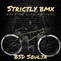 *BSD Soulja Custom Bike