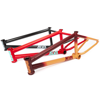 BSD ALVX AF Frame (Alex Donnachie) 2020