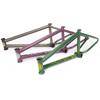 BSD Safari V2 Frame (Reed Stark) 2021