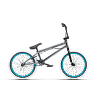 Radio Astron FS Bike