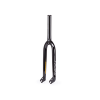 Radio Racelite Expert Forks