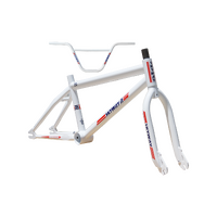 Skyway TA Frame/Fork/Bar Kit