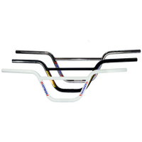 Skyway Cruiser Bars