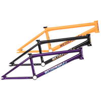 Wethepeople Doomsayer Frame (Jordan Godwin)
