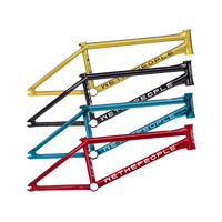 Wethepeople Network Frame (Dan Kruk)