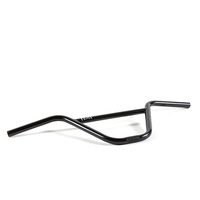 Fiend Team Bars 9.75 Black