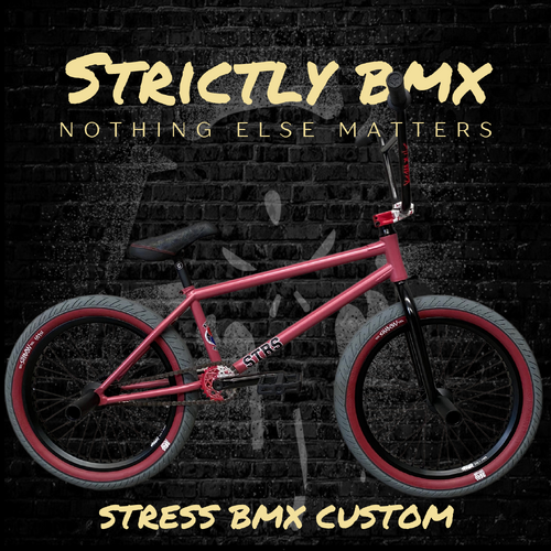 *Stress BES Custom Bike