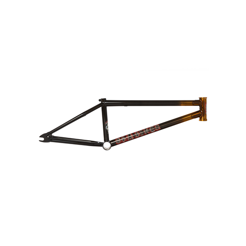 S&M Fungi Frame (Dan Norvell) [Trans Gold/Black] [21]
